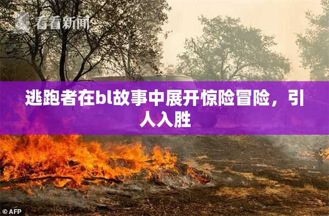 逃跑者在bl故事中展开惊险冒险，引人入胜