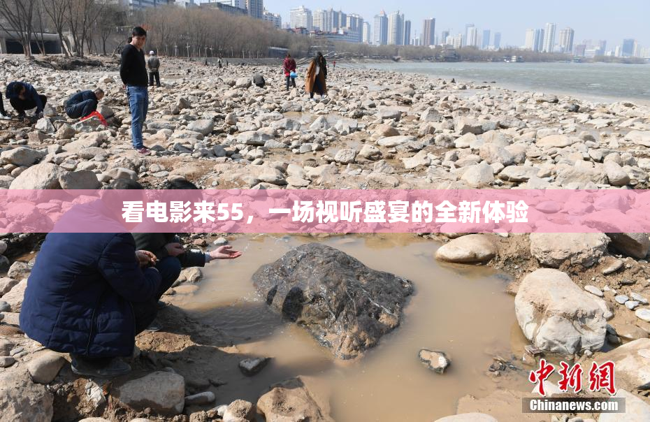 看电影来55，一场视听盛宴的全新体验