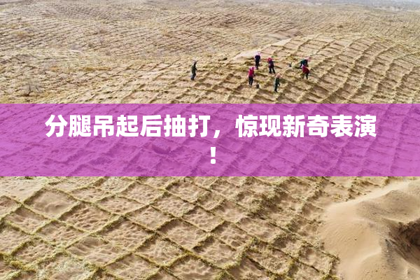 分腿吊起后抽打，惊现新奇表演！
