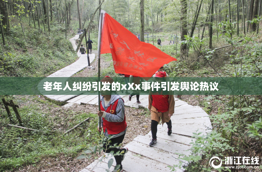 老年人纠纷引发的xXx事件引发舆论热议