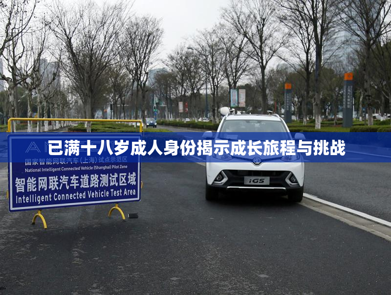 已满十八岁成人身份揭示成长旅程与挑战