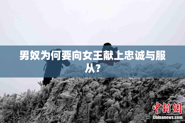 男奴为何要向女王献上忠诚与服从？