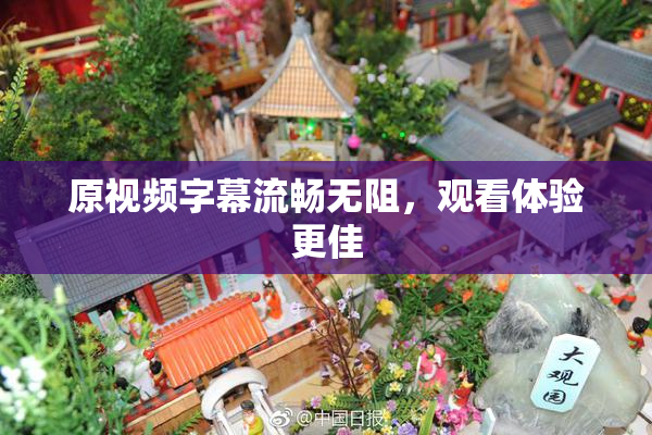 原视频字幕流畅无阻，观看体验更佳