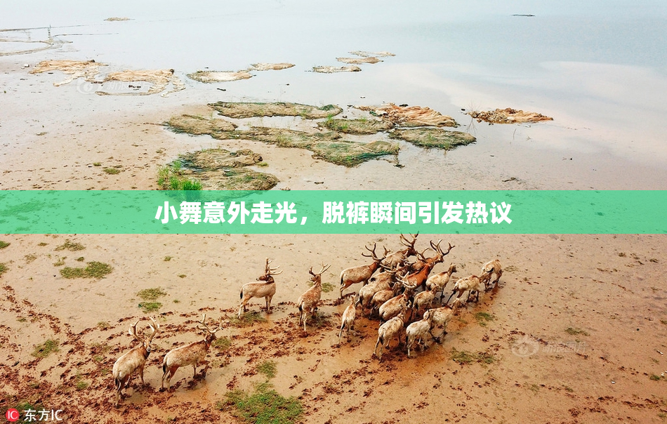 小舞意外走光，脱裤瞬间引发热议