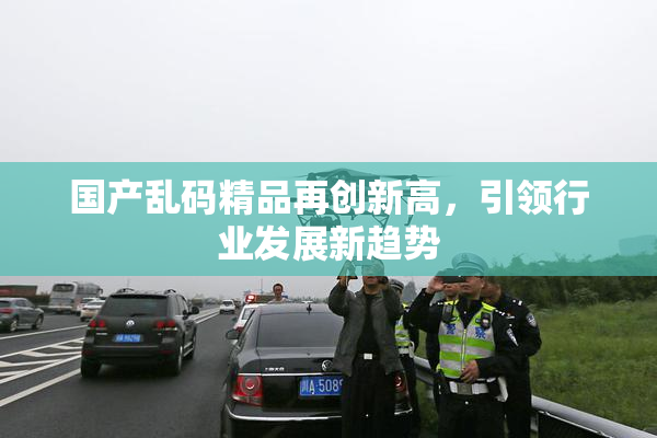 国产乱码精品再创新高，引领行业发展新趋势