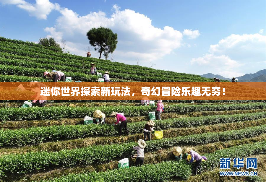 迷你世界探索新玩法，奇幻冒险乐趣无穷！