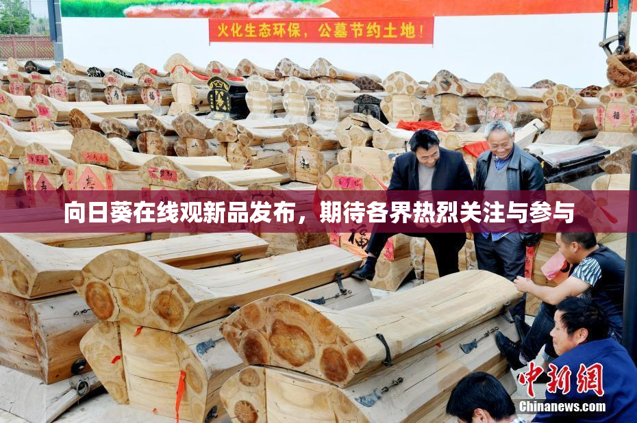 向日葵在线观新品发布，期待各界热烈关注与参与