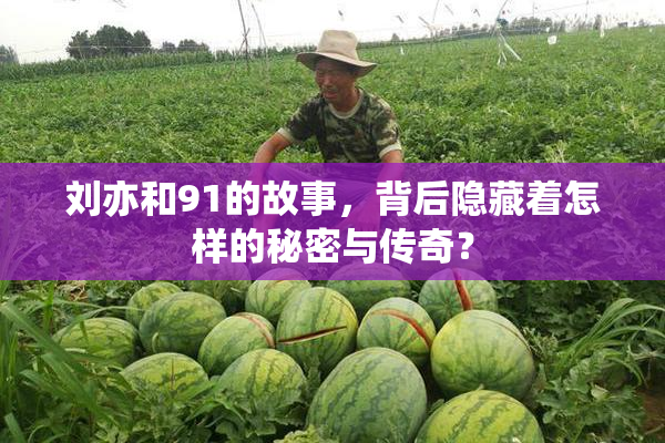 刘亦和91的故事，背后隐藏着怎样的秘密与传奇？