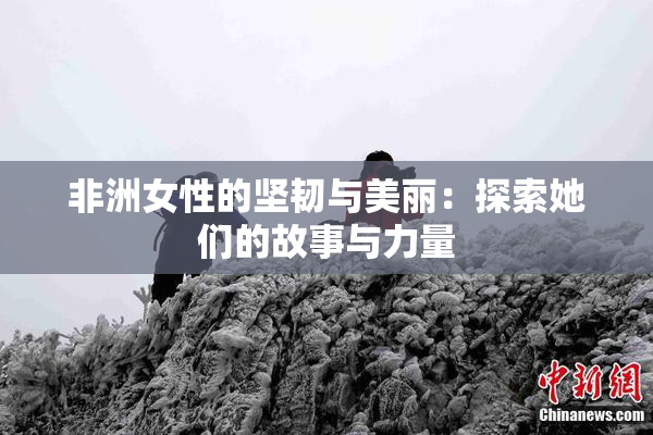 非洲女性的坚韧与美丽：探索她们的故事与力量