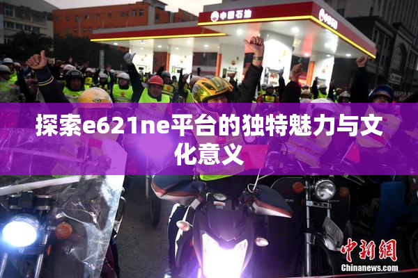 探索e621ne平台的独特魅力与文化意义
