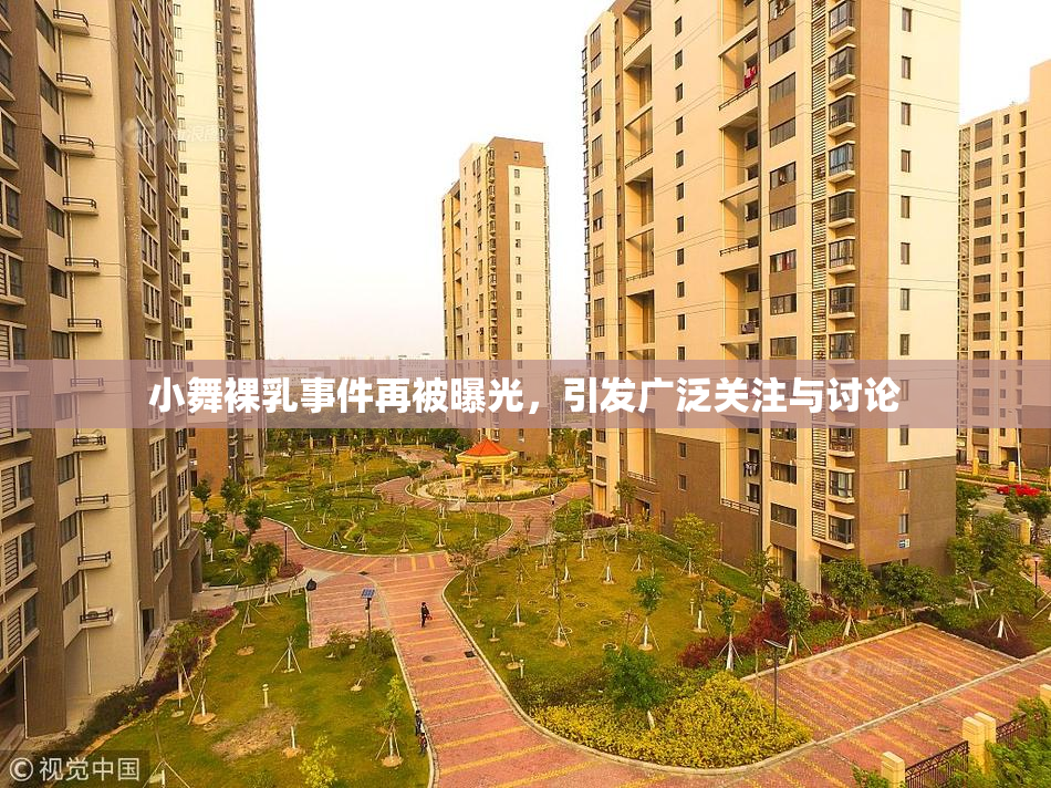 小舞裸乳事件再被曝光，引发广泛关注与讨论
