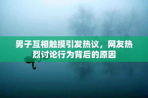 男子互相触摸引发热议，网友热烈讨论行为背后的原因