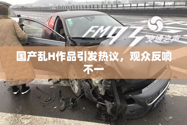 国产乱H作品引发热议，观众反响不一
