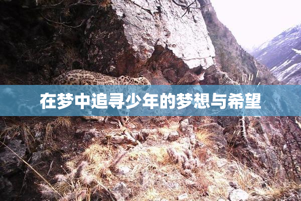 在梦中追寻少年的梦想与希望