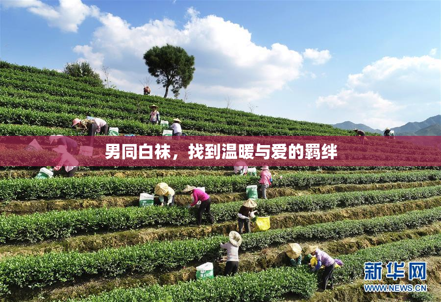 男同白袜，找到温暖与爱的羁绊