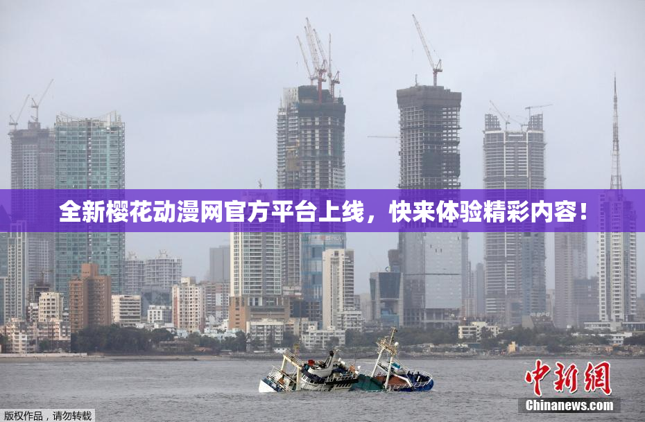 全新樱花动漫网官方平台上线，快来体验精彩内容！