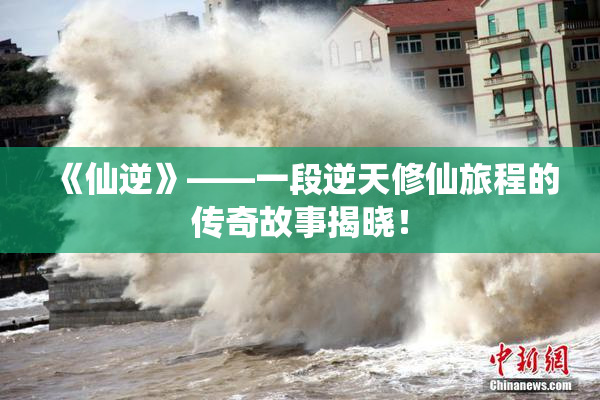 《仙逆》——一段逆天修仙旅程的传奇故事揭晓！