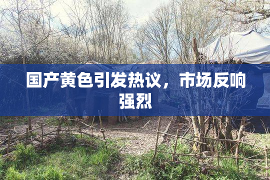 国产黄色引发热议，市场反响强烈