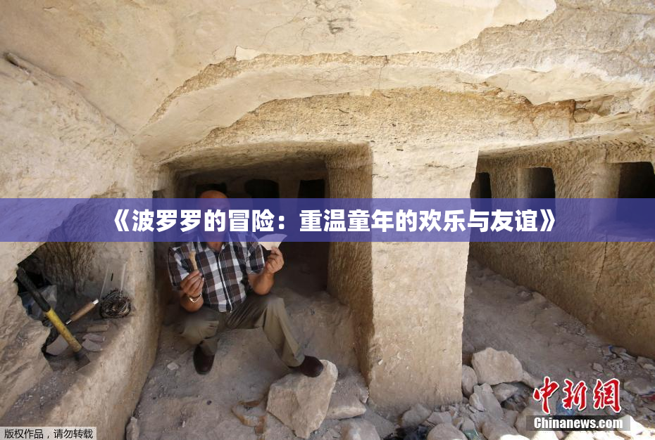 《波罗罗的冒险：重温童年的欢乐与友谊》