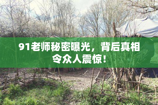 91老师秘密曝光，背后真相令众人震惊！
