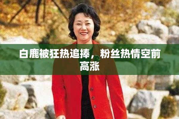 白鹿被狂热追捧，粉丝热情空前高涨