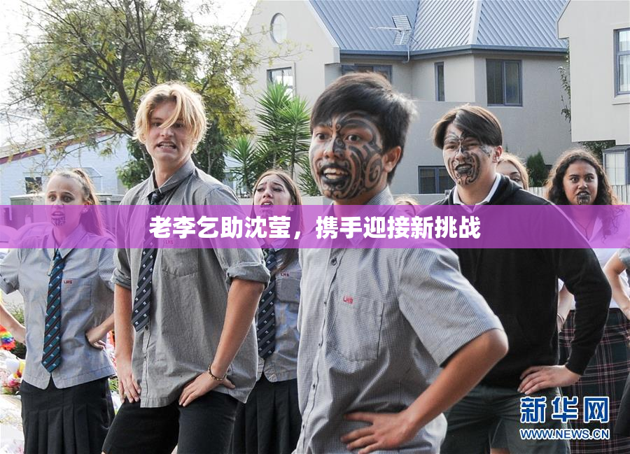 老李乞助沈莹，携手迎接新挑战