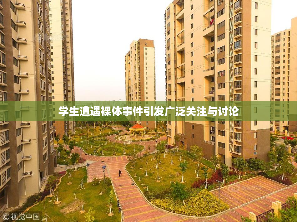 学生遭遇裸体事件引发广泛关注与讨论