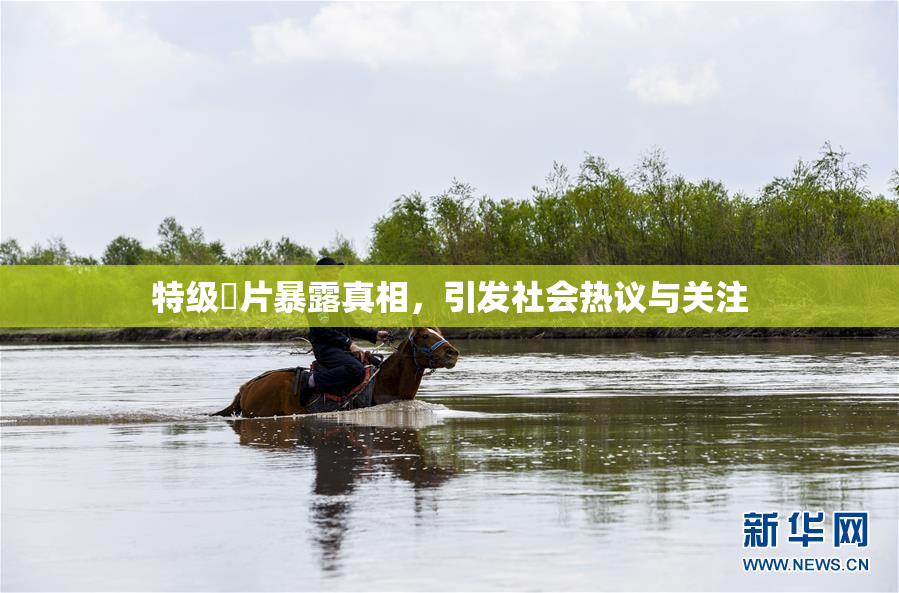 特级婬片暴露真相，引发社会热议与关注