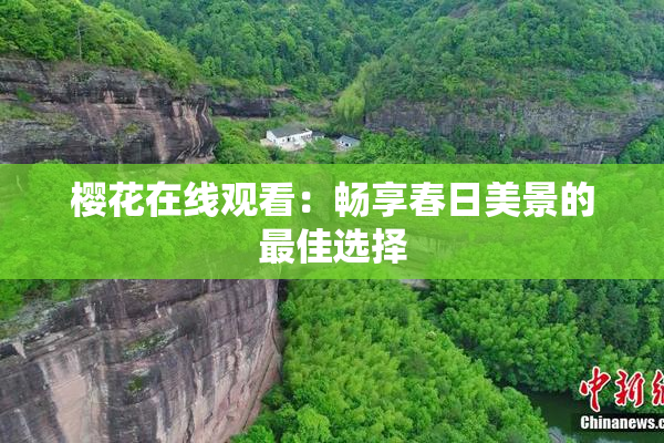 樱花在线观看：畅享春日美景的最佳选择