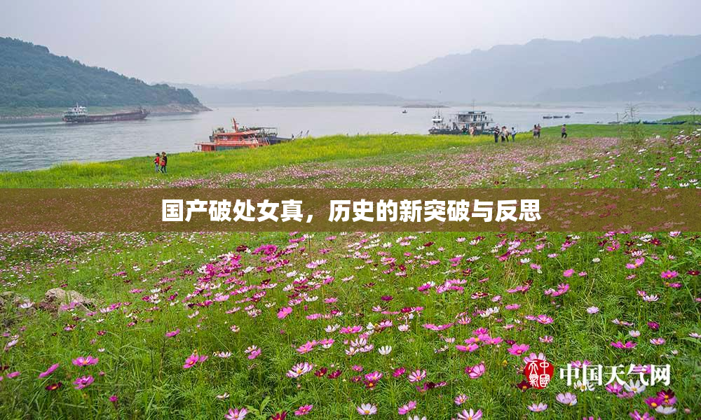 国产破处女真，历史的新突破与反思