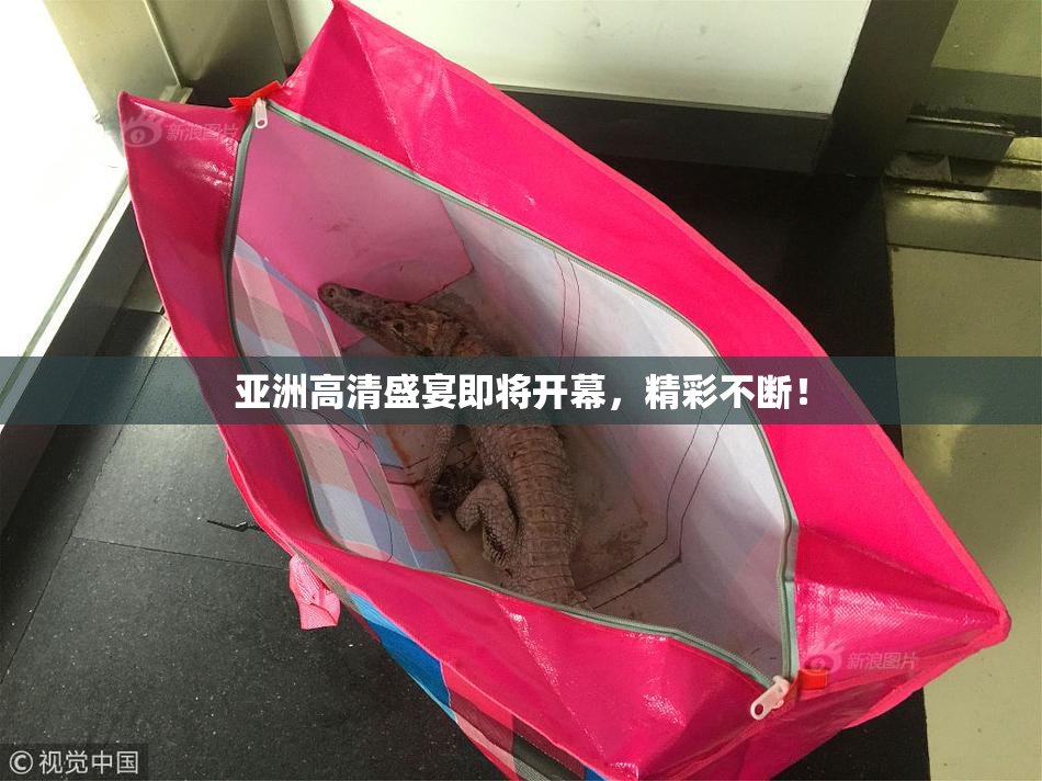 亚洲高清盛宴即将开幕，精彩不断！