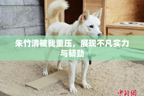 朱竹清被我重压，展现不凡实力与韧劲