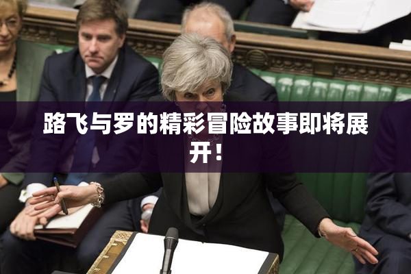 路飞与罗的精彩冒险故事即将展开！