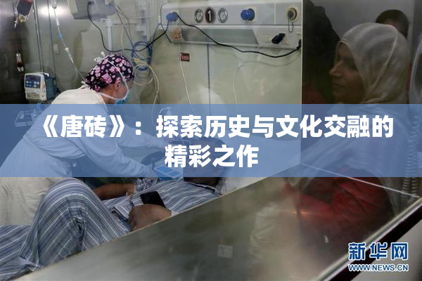 《唐砖》：探索历史与文化交融的精彩之作