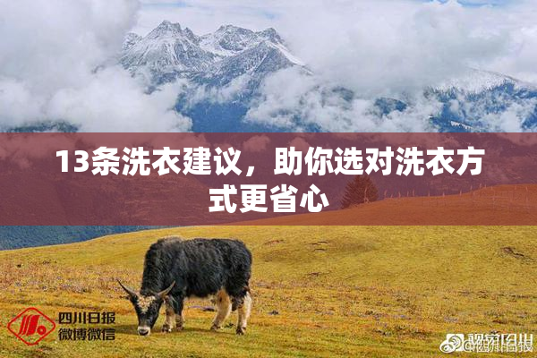 13条洗衣建议，助你选对洗衣方式更省心