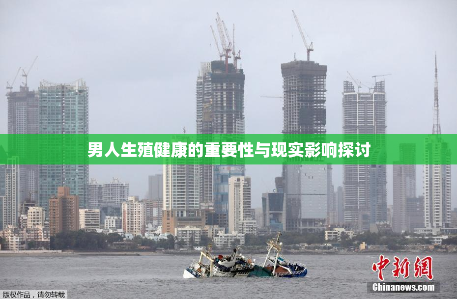 男人生殖健康的重要性与现实影响探讨