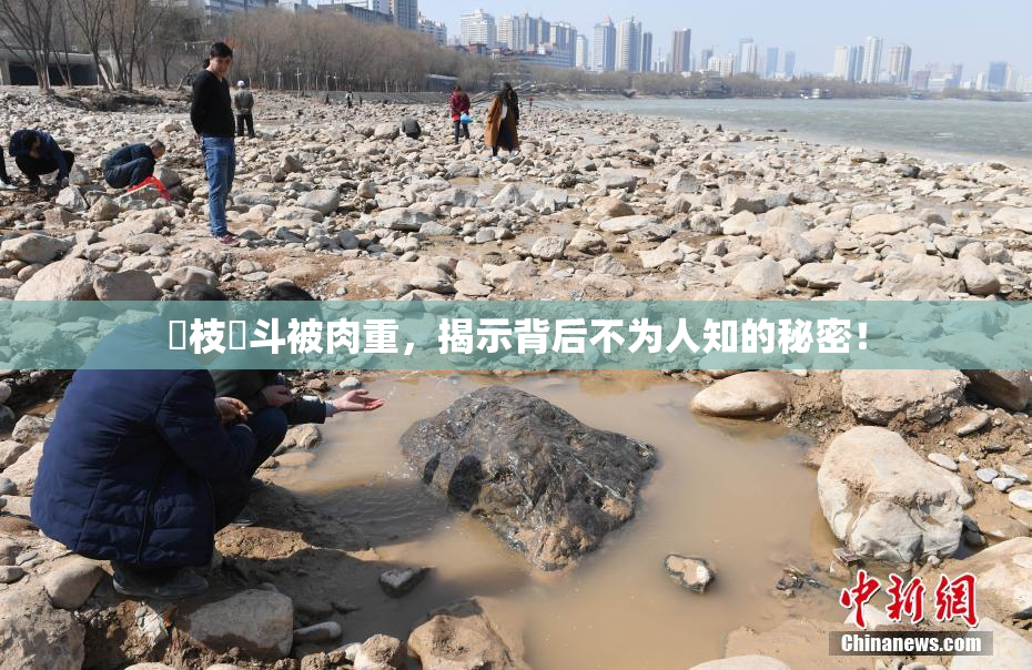 狛枝凪斗被肉重，揭示背后不为人知的秘密！