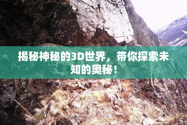 揭秘神秘的3D世界，带你探索未知的奥秘！