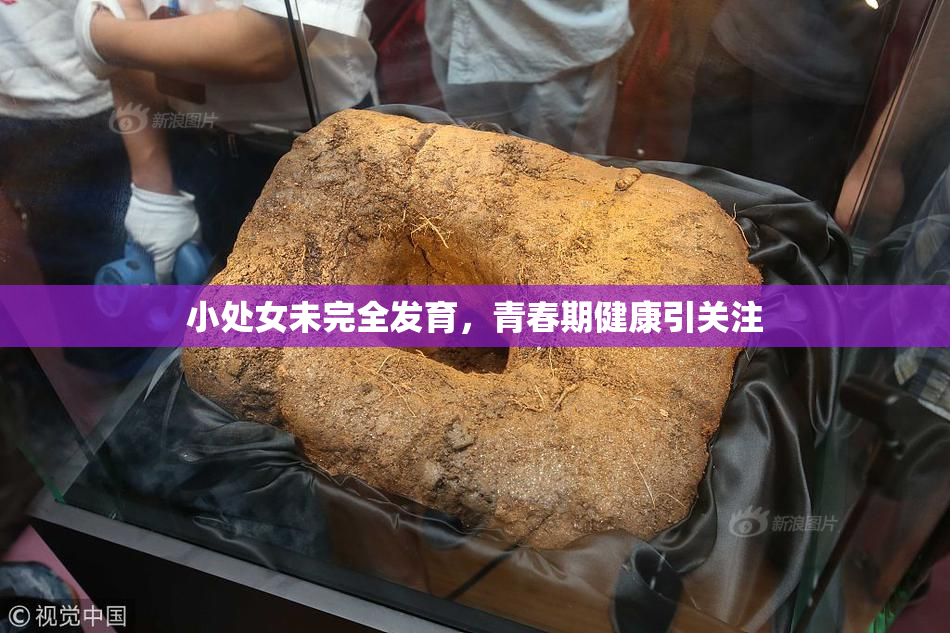 小处女未完全发育，青春期健康引关注