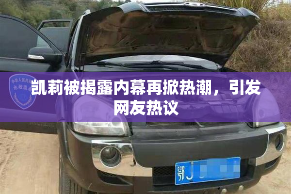 凯莉被揭露内幕再掀热潮，引发网友热议