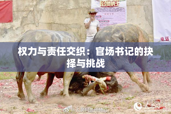 权力与责任交织：官场书记的抉择与挑战
