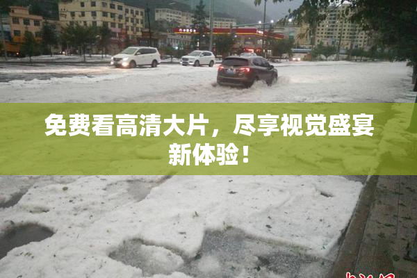 免费看高清大片，尽享视觉盛宴新体验！