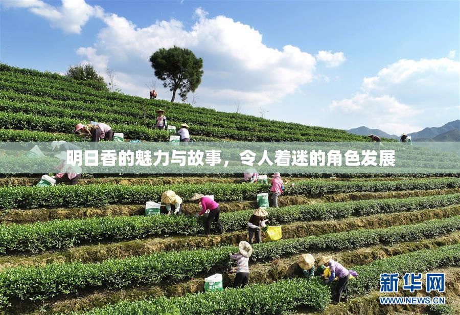 明日香的魅力与故事，令人着迷的角色发展