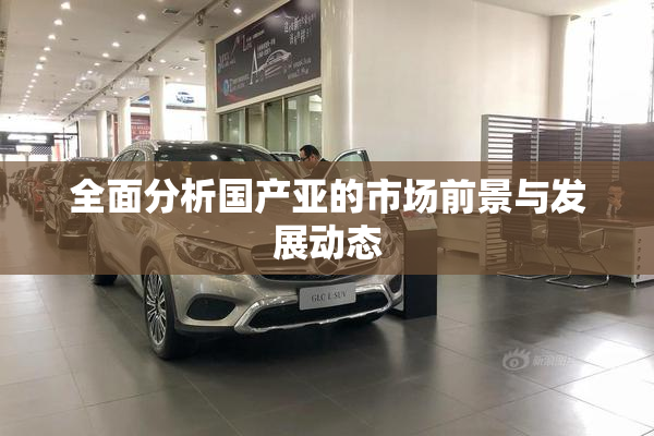 全面分析国产亚的市场前景与发展动态