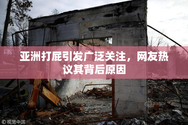 亚洲打屁引发广泛关注，网友热议其背后原因