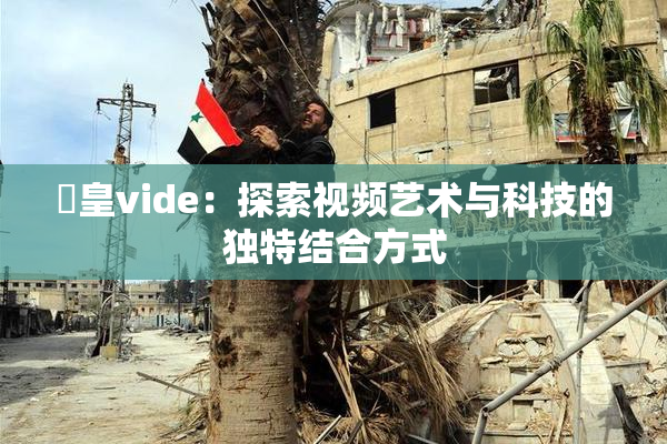 嘼皇vide：探索视频艺术与科技的独特结合方式