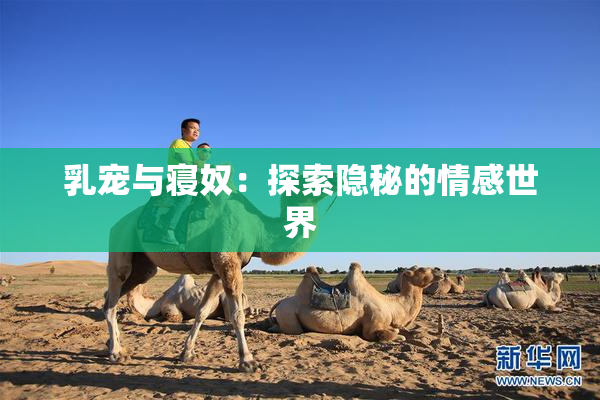 乳宠与寝奴：探索隐秘的情感世界