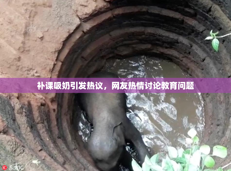补课吸奶引发热议，网友热情讨论教育问题