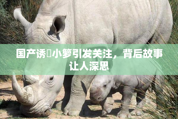 国产诱奷小箩引发关注，背后故事让人深思