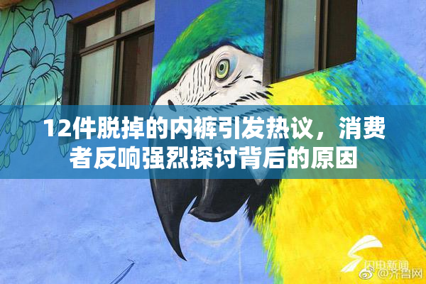 12件脱掉的内裤引发热议，消费者反响强烈探讨背后的原因